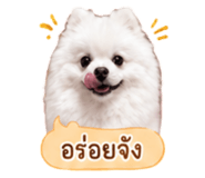 858991514