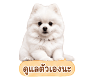 858991517