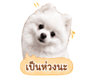 858991518