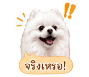 858991525