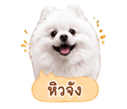 858991530
