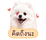 858991532