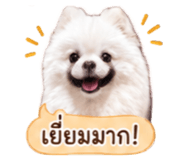 858991539