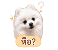 858991540