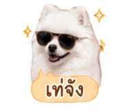 858991541