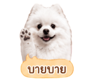 858991543