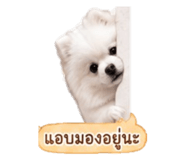 858991544