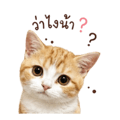 858992323