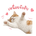 858992330