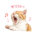 858992334