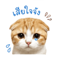 858992339