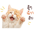 858992357