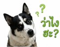 858992567