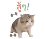 858994673
