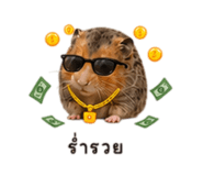 858995287