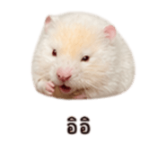 858995297