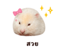 858995302