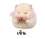 858995305