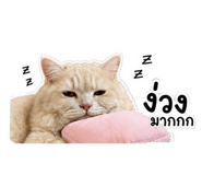 858995924