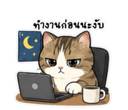 858996480