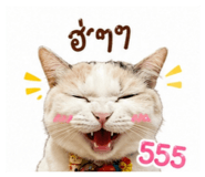 858997483