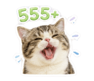 859000394