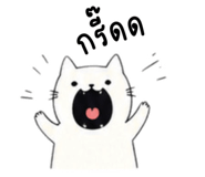 859000873