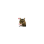 859001450