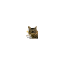 859001451