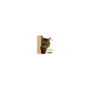 859001453