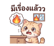 859001847