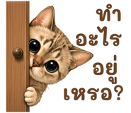 859002003