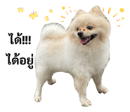 859002049