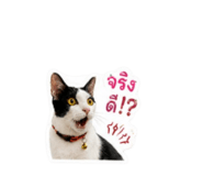859002205
