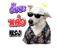 859002396