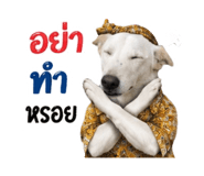 859002400