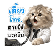 859002567