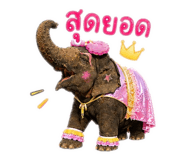859002799