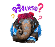 859002817