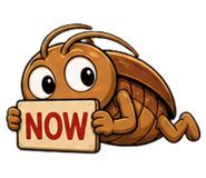 859003542