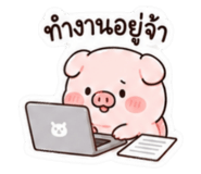 859004621