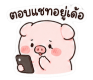 859004624
