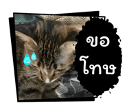 859004665