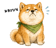 859004876