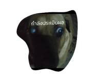 859005276