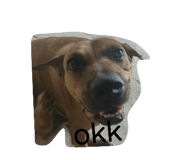 859005282