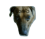 859005285