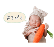 859013013