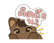 859013506