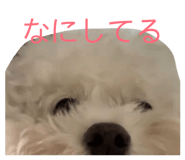859038593